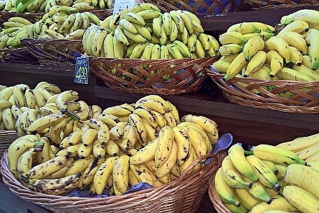 Brasil | Anápolis null