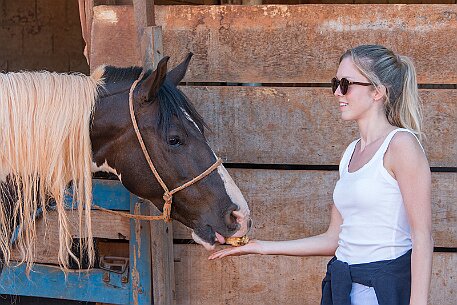 Brasil | Pferde von Claudio Baechler null