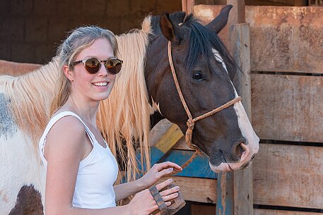 Brasil | Pferde von Claudio Baechler null