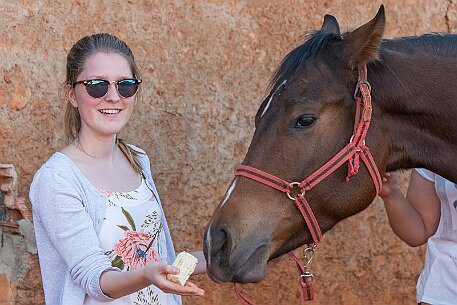 Brasil | Pferde von Claudio Baechler null