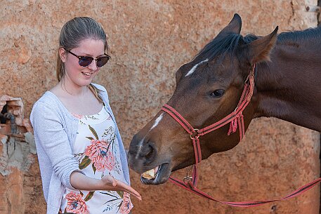 Brasil | Pferde von Claudio Baechler null