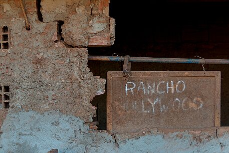 Brasil | Pferde von Claudio Baechler null