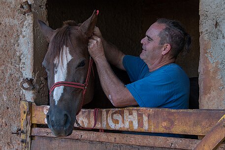 Brasil | Pferde von Claudio Baechler null
