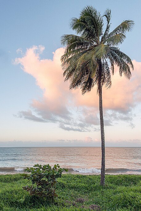 Brasil | Joao Pessoa null