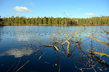 Étang de la Gruère null
