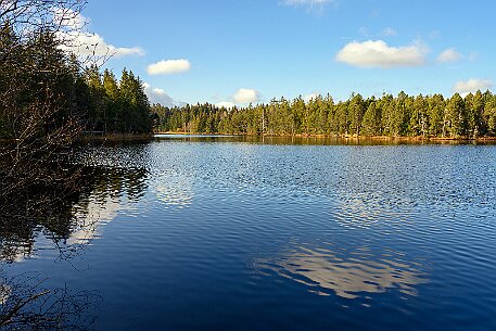 Étang de la Gruère null
