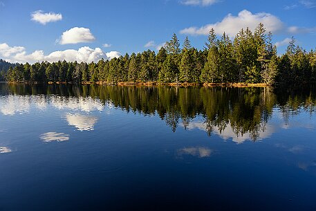 Étang de la Gruère null