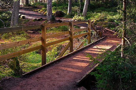 Étang de la Gruère null