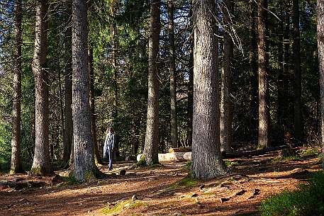 Étang de la Gruère null