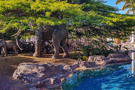 GranCanaria_20190405_010 null