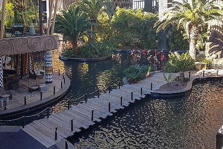 GranCanaria_20190405_024 null