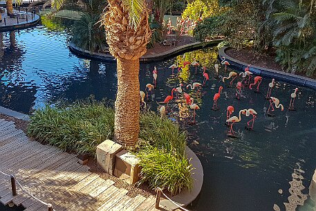 GranCanaria_20190405_025 null