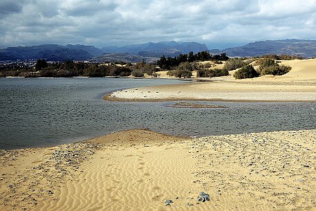 Gran Canaria - Dunas de Maspalomas null