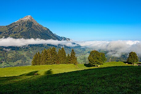Kiental - Niesen null