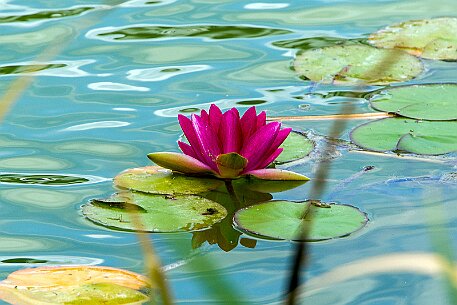 Koeniz_20150725_29 null