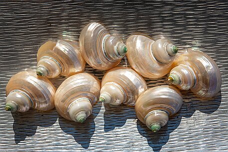 Rogoznica Croatia null