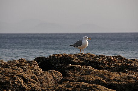 Lanzarote Strand Playa Blanca null