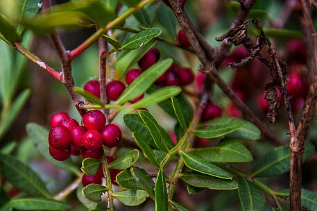 Menorca | Torralba null