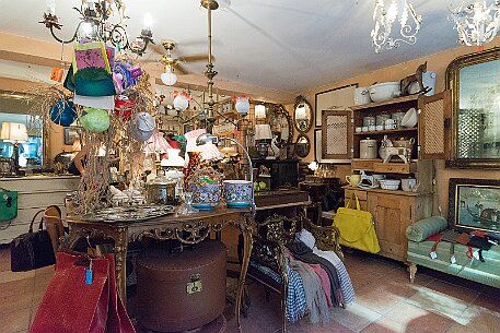 Rovinj_20160707_037 null