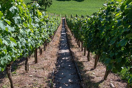 Schloss Heidegg null